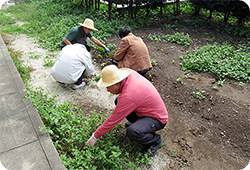 共同住宅庭の環境整備の写真